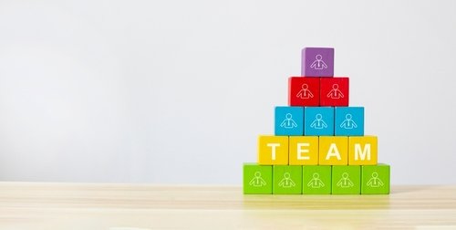 Business,Team,Building,,,Human,Resource,Management,And,Job,Hiring